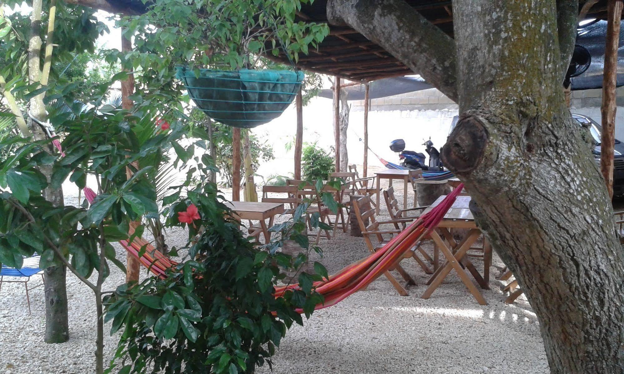 Hotel Pizzeria Opera Tolu Bagian luar foto